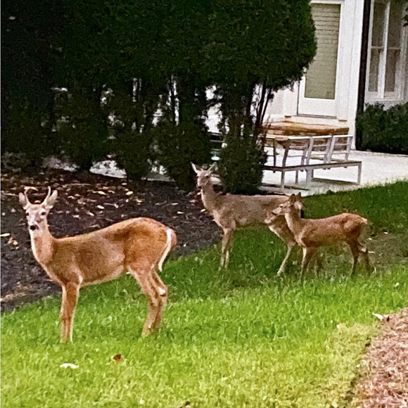 Meet your Posher, Brian - Picture 10 of 14